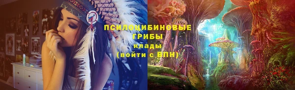 a pvp Арсеньев