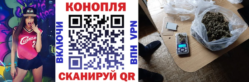 Каннабис OG Kush  Славгород 